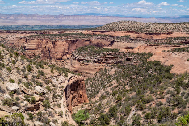 istock Ute Canyon inside the Colorado National Monument 985067906