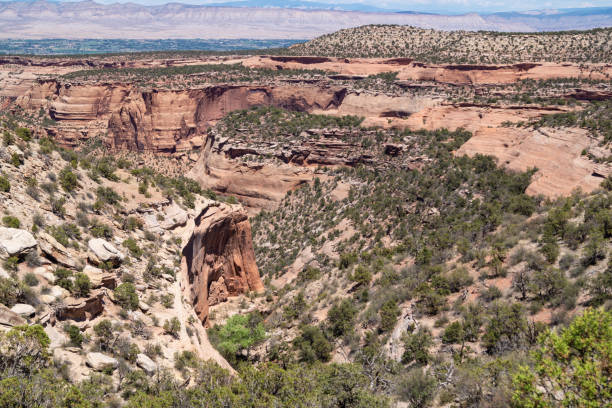 istock Ute Canyon inside the Colorado National Monument 985067962