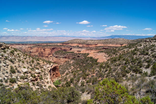 istock Ute Canyon inside the Colorado National Monument 985068012