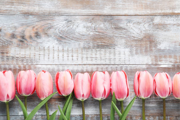 istock Pink tulips on grey wooden table 985068946