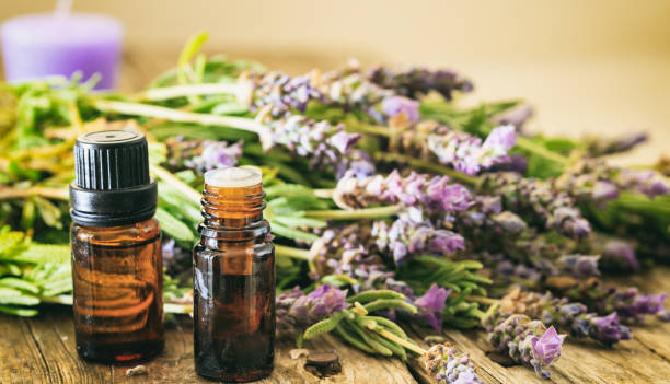 istock Fresh lavender bunch and essential oil 985079620