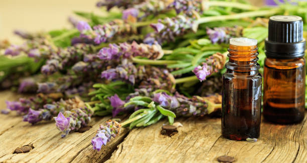 istock Fresh lavender bunch and essential oil 985079682