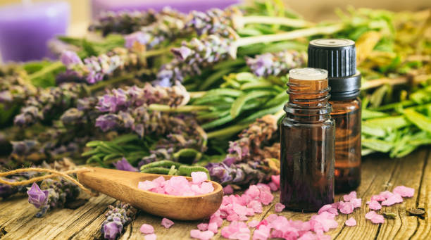 istock Fresh lavender bunch, essential oil 985079688
