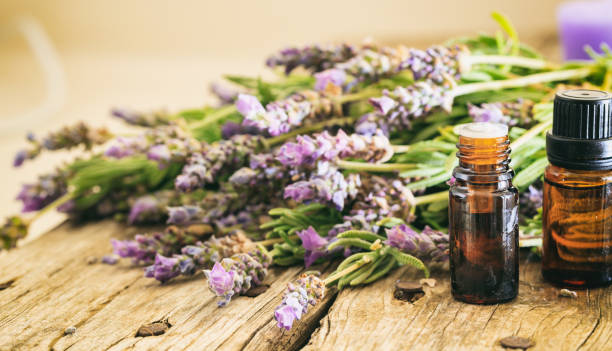 istock Fresh lavender bunch and essential oil 985079816