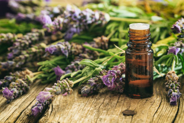 istock Fresh lavender bunch and essential oil 985079896