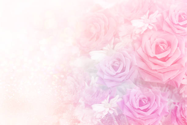 istock soft romance roses flower in sweet pastel tone background 985084530