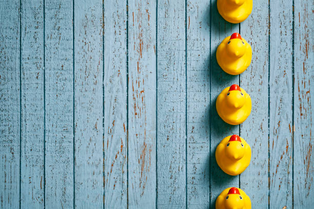 istock Rubber ducks on blue wood planks - Background Individuality Ideas 985087810