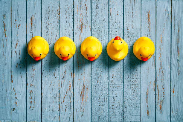 istock Rubber ducks on blue wood planks - Background Individuality Ideas 985087850