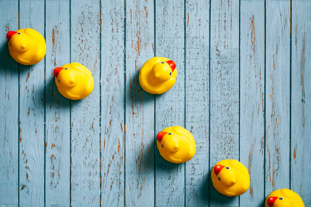 istock Rubber ducks on blue wood planks - Background Individuality Ideas 985087904