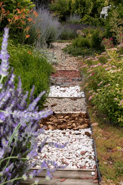istock plants in a beautiful park in the summer 985090950