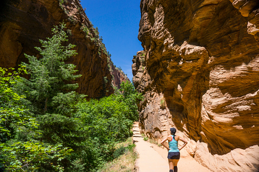 Woman Hiking in Zion in Zion National Park in Springdale, Utah, United States.