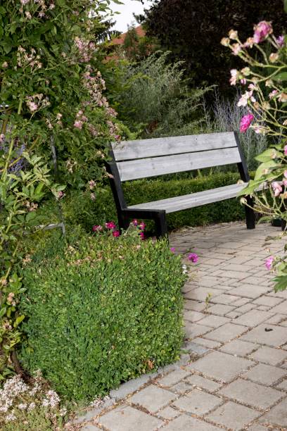 istock plants in a beautiful park in the summer 985092012