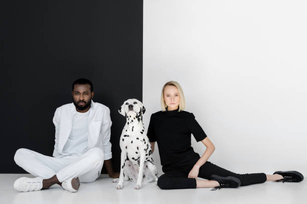 multicultural couple sitting near black and white wall with dalmatian dog multicultural couple sitting near black and white wall with dalmatian dog dalmatian dog photos stock pictures, royalty-free photos & images