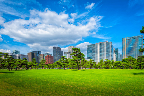 Modern building with green Zen garden on blue sky background in Tokyo, Japan.