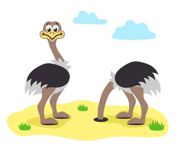 Two cartoon ostrichs in flat style. Two cartoon ostrichs. One of them hid his head in the sand. Vector illustration. ostrich stock illustrations