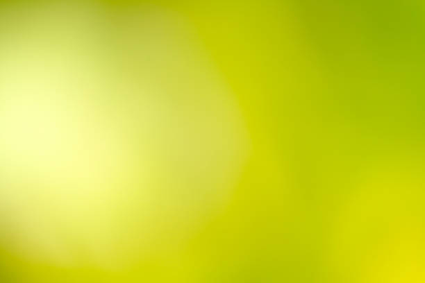 istock Abstract defocused folliage green background 985114272