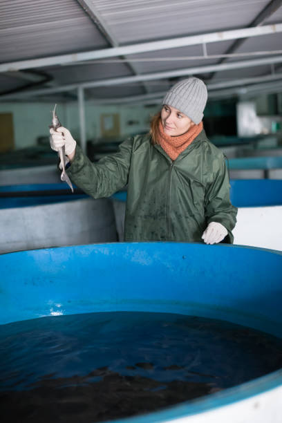 istock Woman examining young sturgeon on fish farm 985117792
