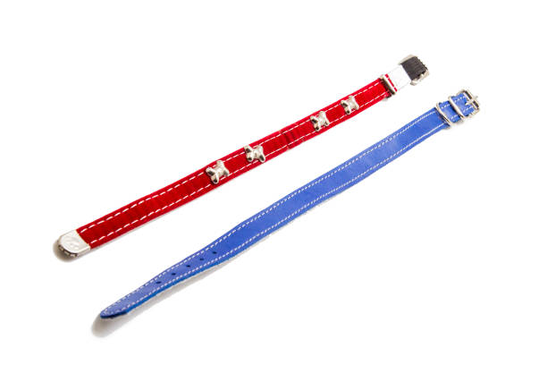 istock Cat and dog collar isolated on white 985119808