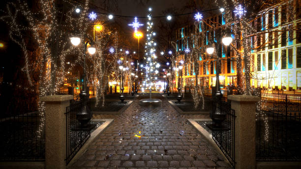 istock Christmas Lights in the Park 985121974