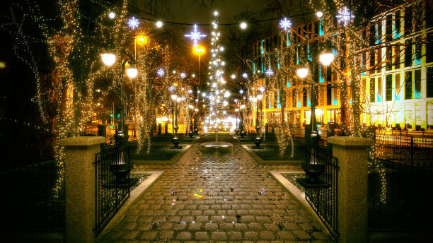 istock Christmas Lights in the Park 985121980