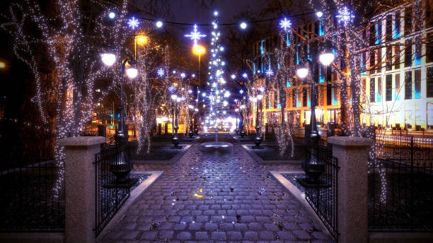 istock Christmas Lights in the Park 985122720