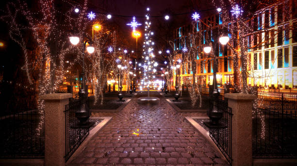 istock Christmas Lights in the Park 985124144