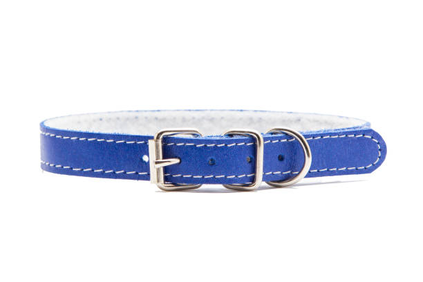 istock Cat and dog collar isolated on white 985124360