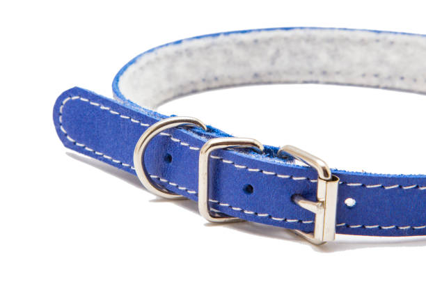 istock Cat and dog collar isolated on white 985124828