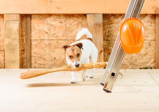istock Funny housekeeper cleaning with besom dust at construction site 985130022