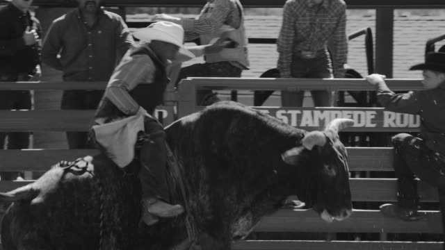 Utah bull riding rodeo