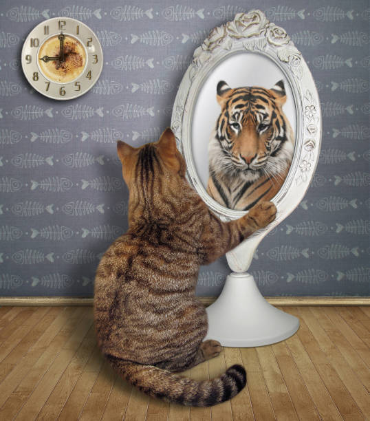 istock Cat sits and looks in the mirror 3 985132388