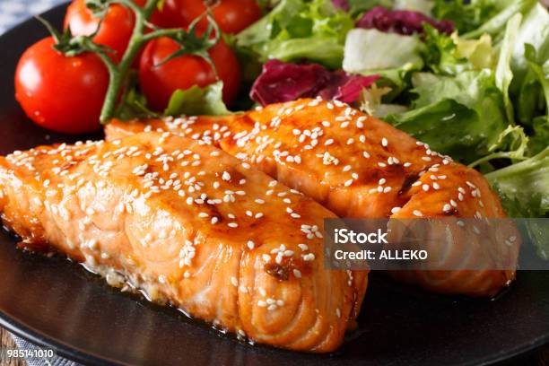 Glazed Salmon Fillet With Sesame Closeup Horizontal Stock Photo - Download Image Now