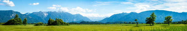 landscape murnauer moos - bavaria landscape murnauer moos - bavaria - germany panoramic stock pictures, royalty-free photos & images
