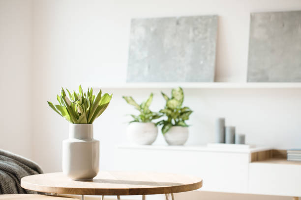 fresh flowers in white vase placed on small table in bright room interior with paintings, potted plants and candles on shelves in blurred background - small plants imagens e fotografias de stock