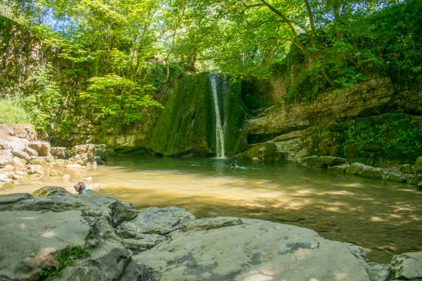 janets foss cascade - beck photos et images de collection