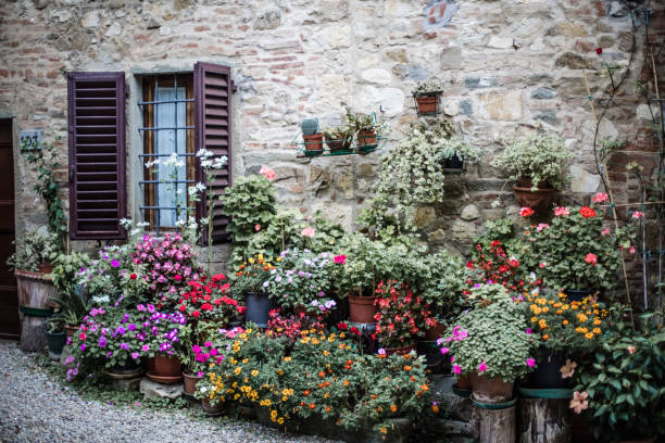 alley, europe, italy, tuscany, old town