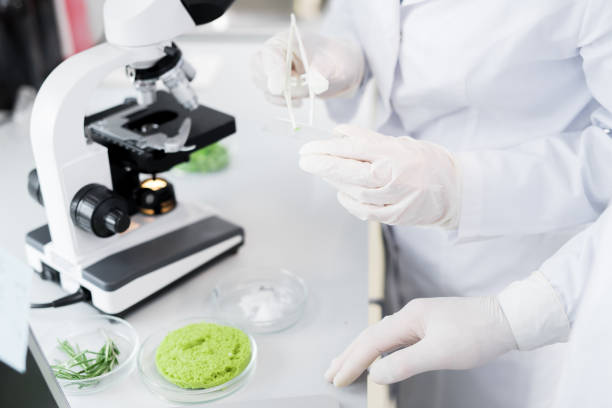 istock Microbiologists taking probe of green vegetable 985169404