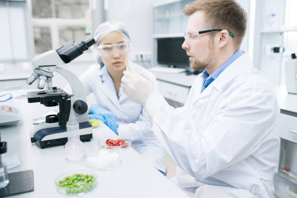 istock Woman scientist looking at colleague studying meat 985169432