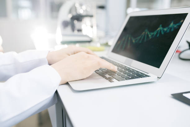 Scientist hands editing DNA model on laptop Crop view of hands of microbiologist working on food nutrition problem analyzing DNA model of green vegetable test object on laptop gene editing stock pictures, royalty-free photos & images