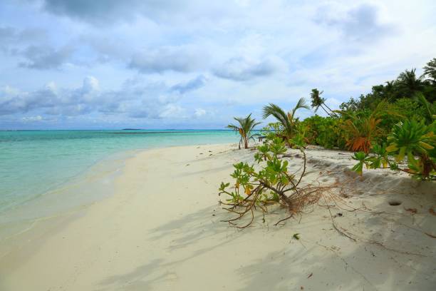 istock Turquoise water, white sand beach and green trees on blue sky background. 985174458