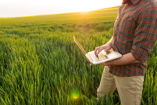 Young man using laptop outdoors