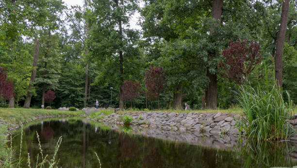 istock A small river flowing on a green meadow, a fresh summer morning 985191430