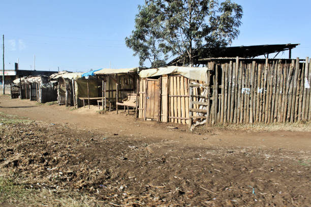 istock A view of the Kenyan Landscape 985191558