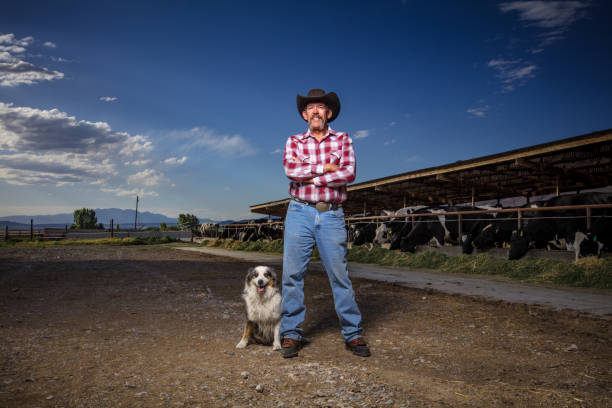istock Smiling Cowboy and Dog Posing on Dairy Farm 985246472