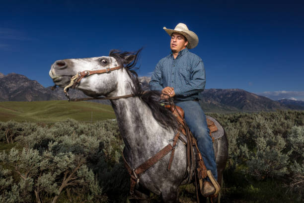 Portrait of a young man wearing jeans, a western shirt and a cowboy hat sitting on the back of a gray horse, whose head is thrown back in alarm. Shot outdoors with artificial light.