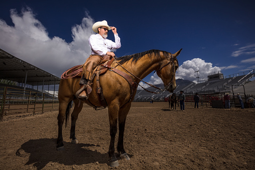 A man wearing leather chaps, a cowboy hat and sunglasses poses on horseback. Dramatic portrait style shot taken at a rodeo arena, using artificial light.