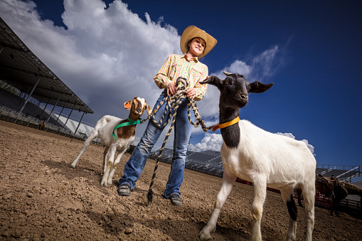 A young woman in western wear stands in the centre of an empty rodeo arena, holding onto the leash of two goats used for goat tying  Dramatic portrait style shot taken at a rodeo arena, using artificial light.