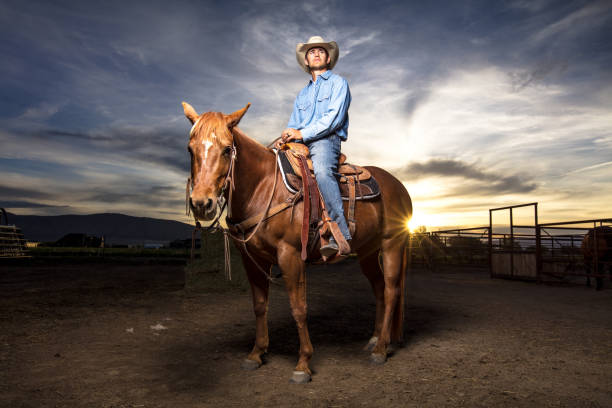 istock Sun Setting Behind Cowboy on Horseback 985246960