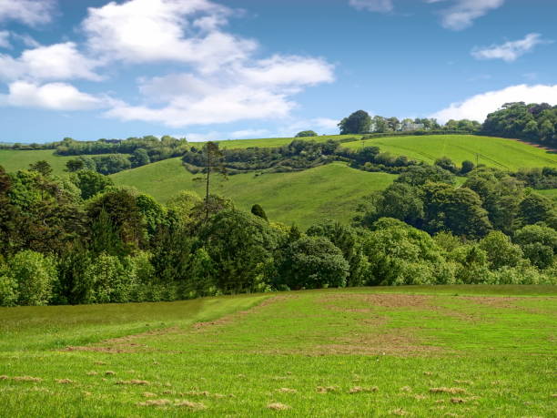 istock Lost Gardens of Heligan 985258020