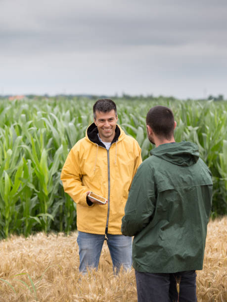 istock Farmers talking in wheat field 985262630